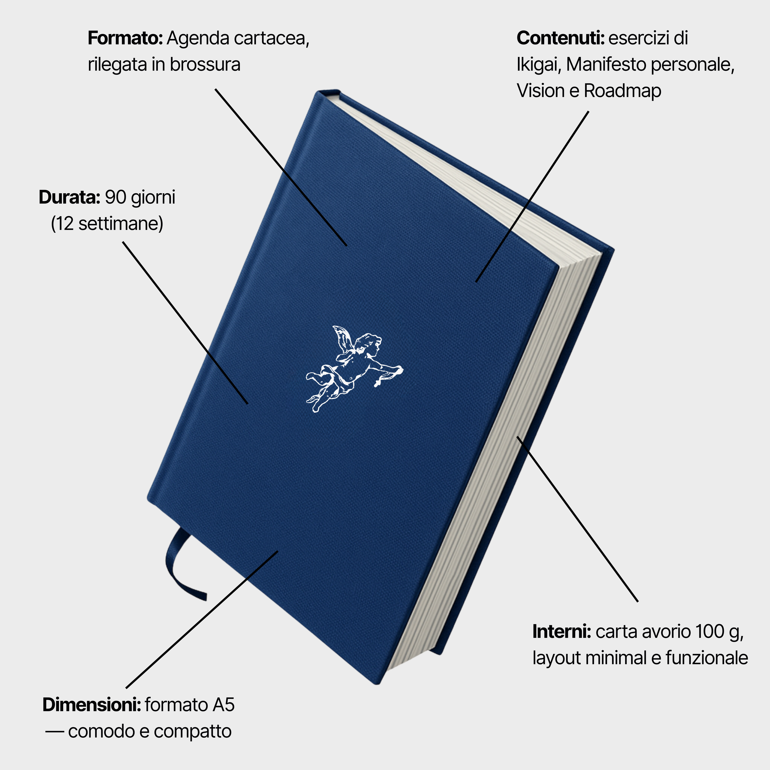 AGENDA // IL CONCEPIMENTO